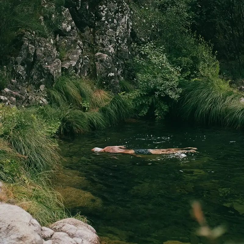 Qui voluptatem sed porro sint